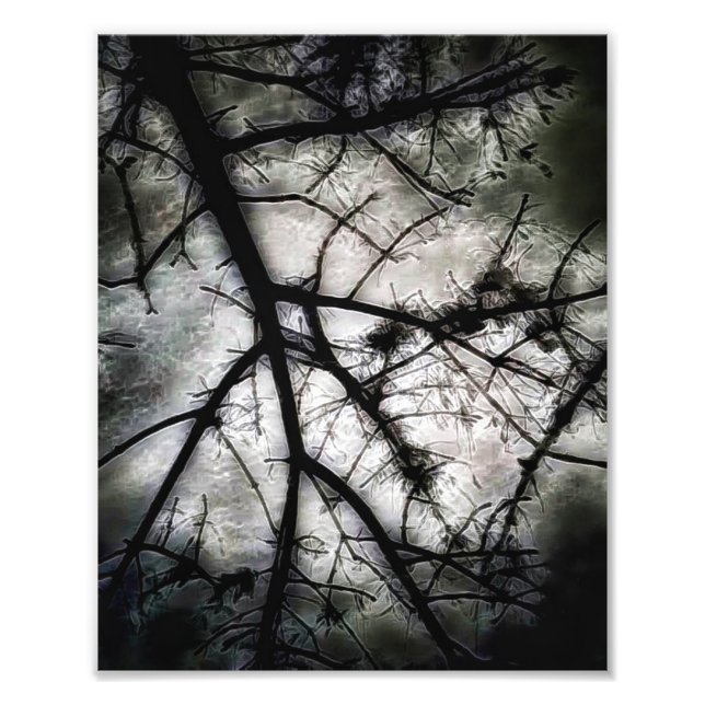 Foto Cerrando (Frente)