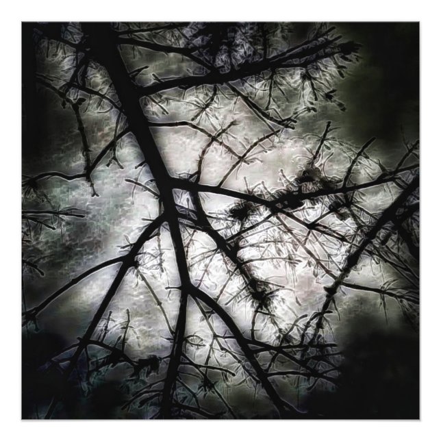 Foto Cerrando (Frente)