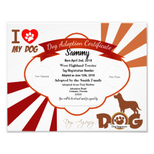 Foto Certificado adaptable de la adopción del perro de