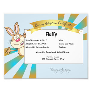 Foto Certificado de adopción de Bunny