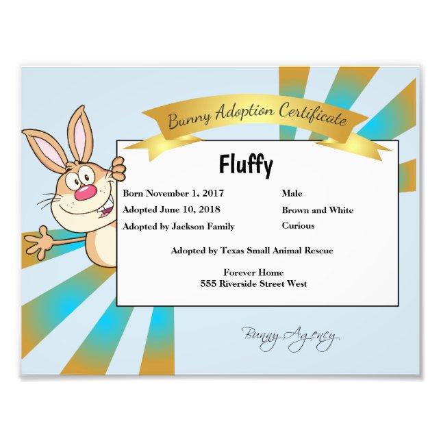 Foto Certificado de adopción de Bunny (Frente)