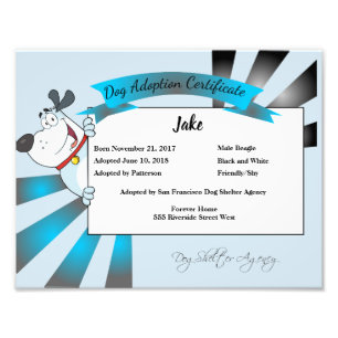 Foto Certificado de la adopción del perro