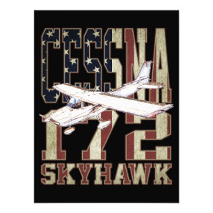 Foto Cessna 172 Skyhawk con la bandera de los Estados U