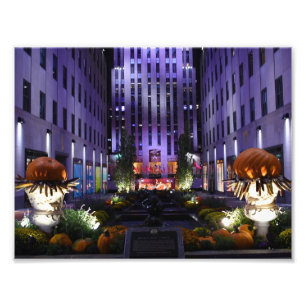 Foto Channel Gardens Quinta Avenida Nueva York City NYC