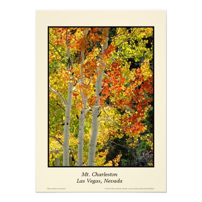 Foto Charleston NV Autumn Aspen 20"x28" Poster (Frente)