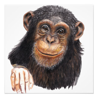 Foto Charmante chimpancé