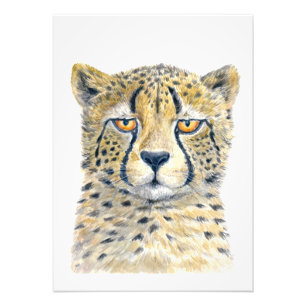 Foto Cheetah