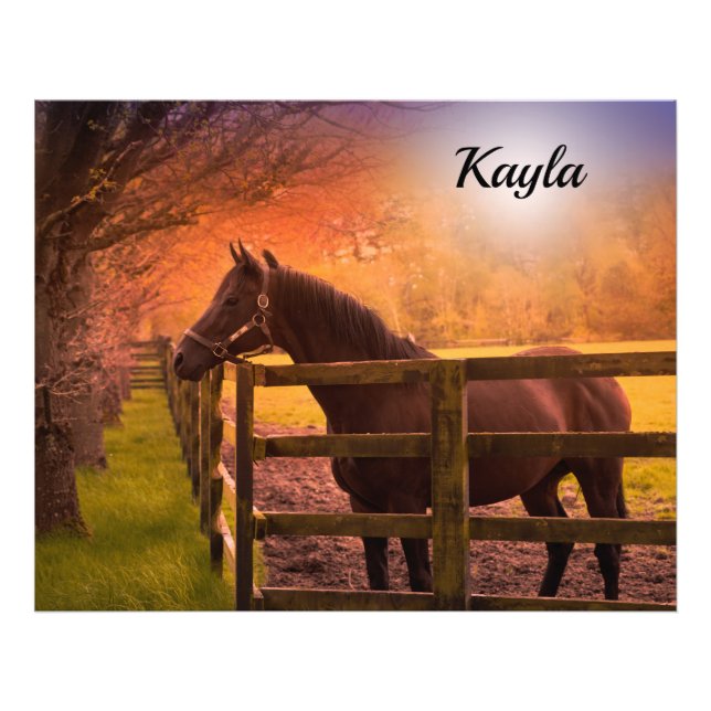 Foto Chica de caballos (Frente)