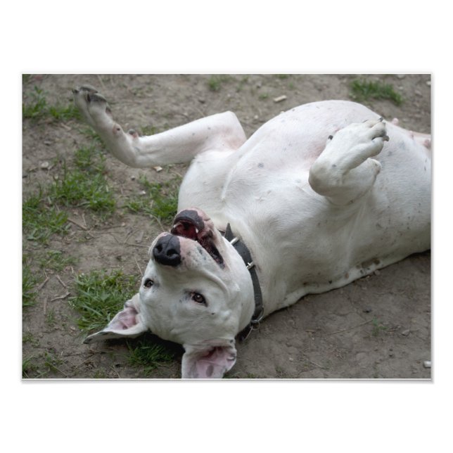 Foto Chica feliz de Dogo Argentino (Frente)