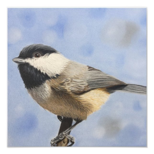 Foto Chickadee dee (Frente)