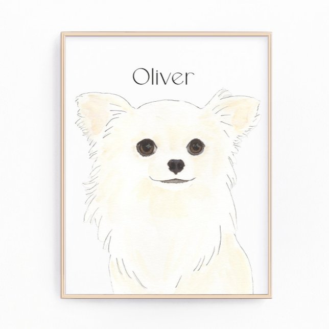 Foto Chihuahua, crema blanca de larga tradición persona (Subido por el creador)