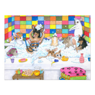 Foto Chihuahua divertida del perro 121 en baño