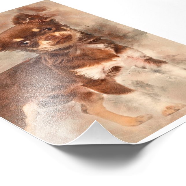 Foto Chihuahua looking at camer_Dog Lover (Esquina)