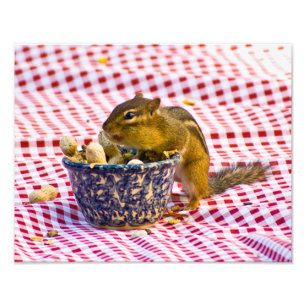Foto Chipmunk Picnic
