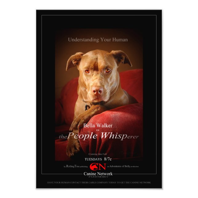 Foto Chocolate Lab Pit Mix Dog Movie Poster (Frente)