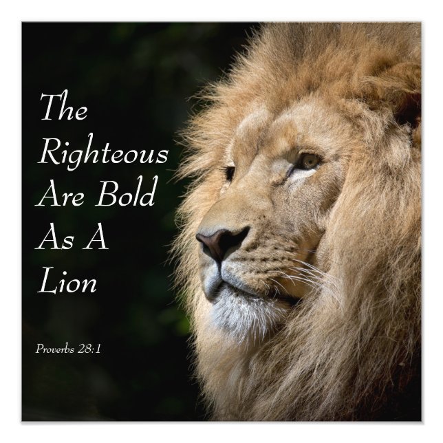 Foto Christian Art - Lion - Proverbs 28:1 (Frente)