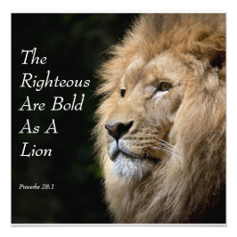 Foto Christian Art - Lion - Proverbs 28:1