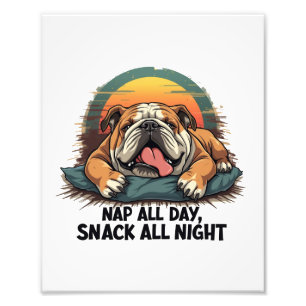 Foto Chubby Bulldog Inglés Nap And Snack