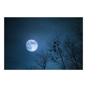 Foto Cielo nocturno espeluznante con árboles desnudos y