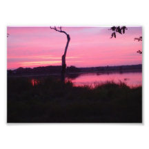 Cielo rosa romántico