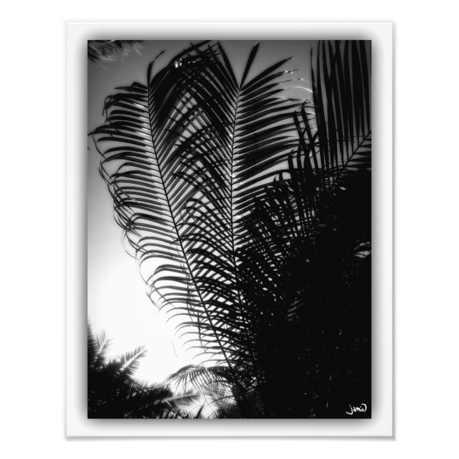 Foto Cielos rasos (Frente)