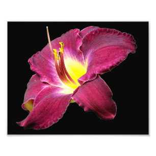 Foto Cierre de la flor diurna 8x10
