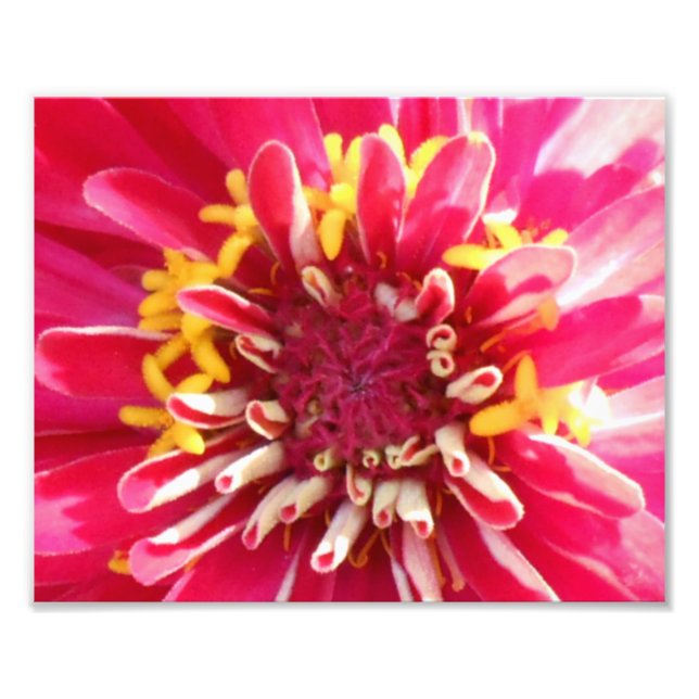 Foto Cierre del Centro de Flores (Frente)