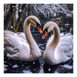 Foto Cisnes románticos en un país maravillosamente inve