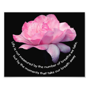 Foto Cita de actitud de vida rosa rosa Inspiradora 8x10