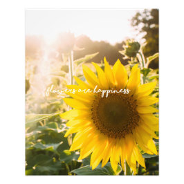 Foto Cita de girasol "las flores son felicidad"