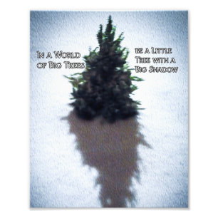 Foto Cita inspiradora de árbol pequeño ampliación de fo