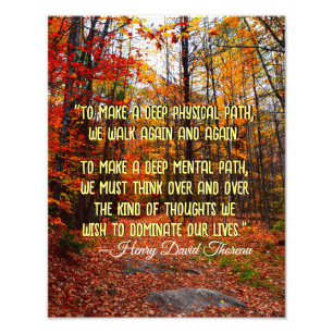Foto Cita motivacional de Autumn Woods New Hampshire