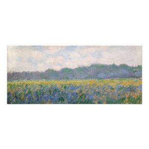 Foto Claude Monet - Campo de Lirios Amarillos en Givern