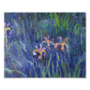 Foto Claude Monet - iris