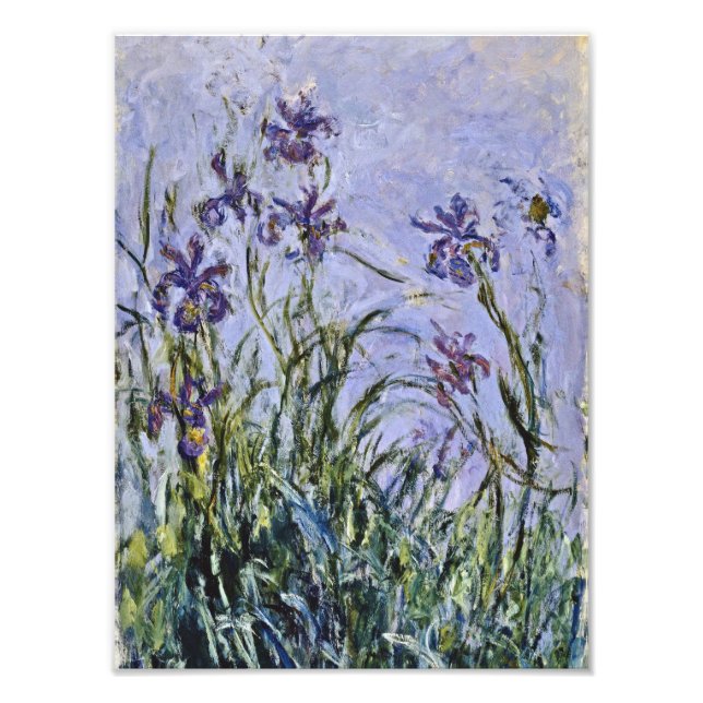 Foto Claude Monet - Iris Mauves (Frente)