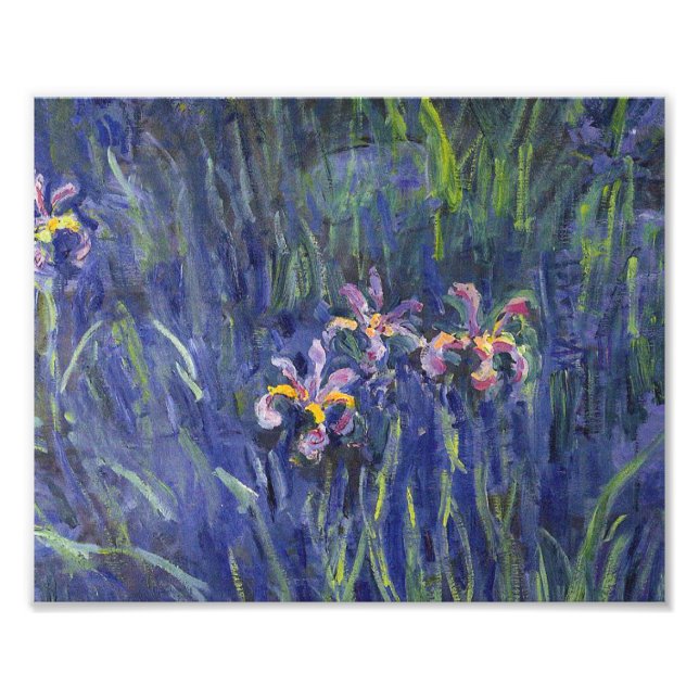 Foto Claude Monet - Irises (Frente)