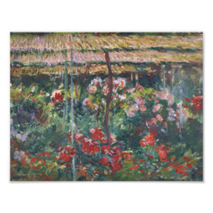 Foto Claude Monet - Peony Garden