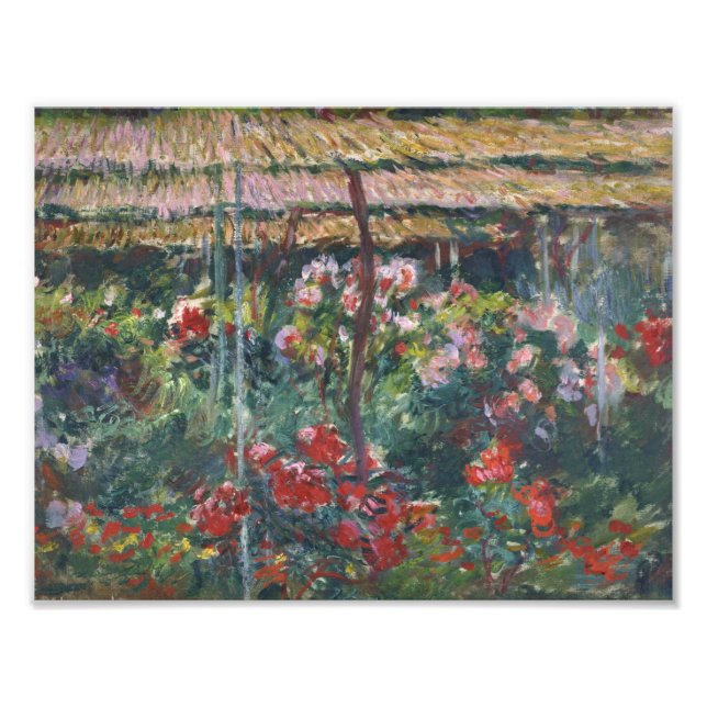 Foto Claude Monet - Peony Garden (Frente)