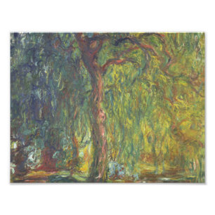 Foto Claude Monet - sauce que llora