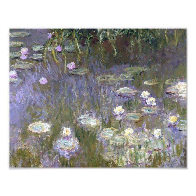 Foto Claude Monet - Water Lilies (Frente)