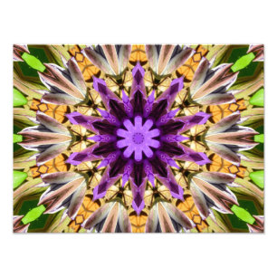 FOTO CLEMATIS