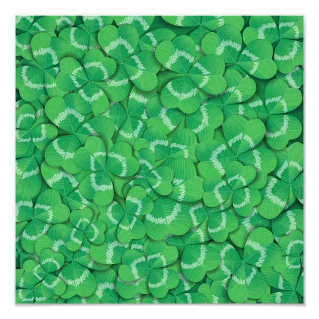 Foto Clovers (Frente)