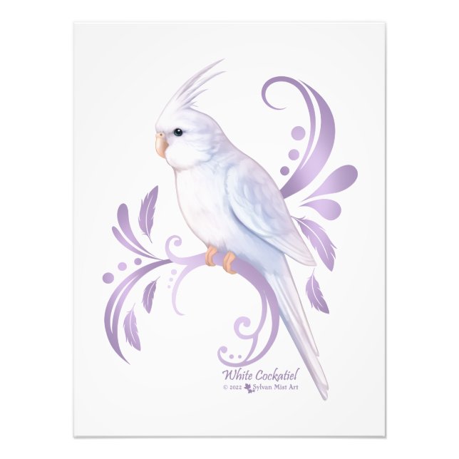 Foto Cockatiel blanco (Frente)