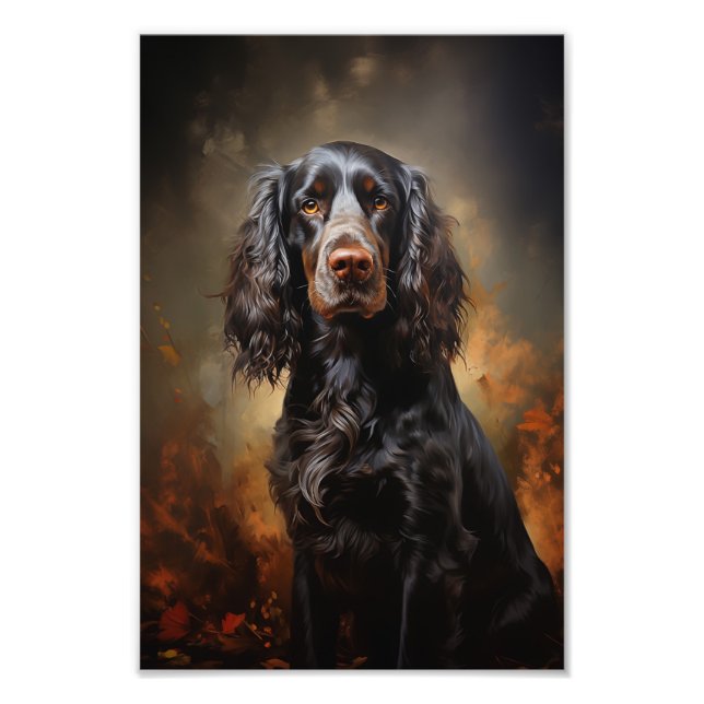 Foto Cocker Spaniel inglés (Frente)