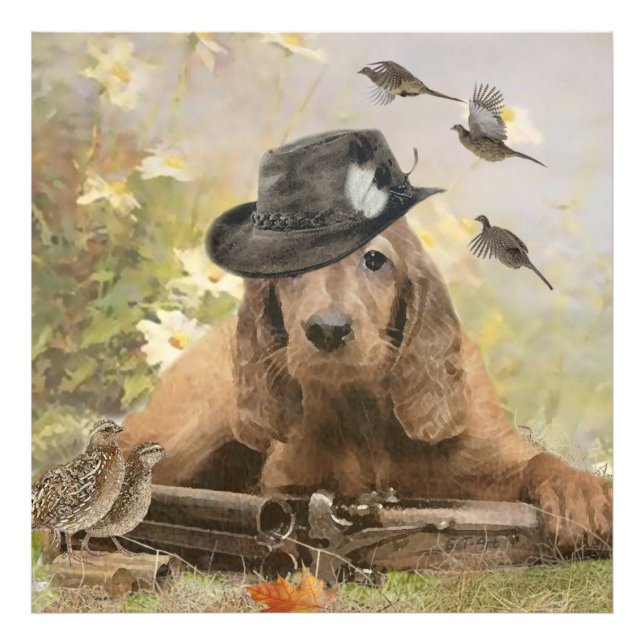 Foto Cocker Spaniel inglés (Frente)