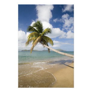 Foto Coconut Grove Beach en Cades Bay, con St.
