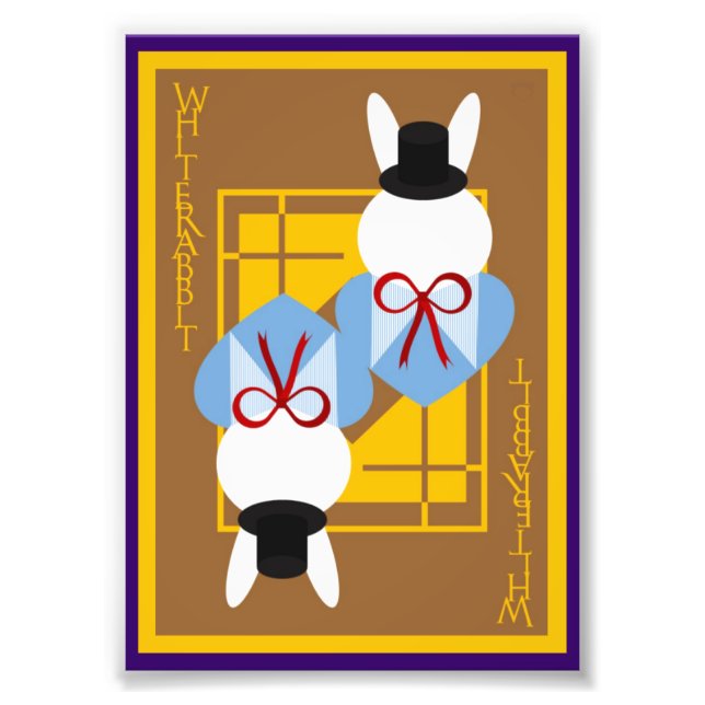 Foto Coelho Branco (Frente)