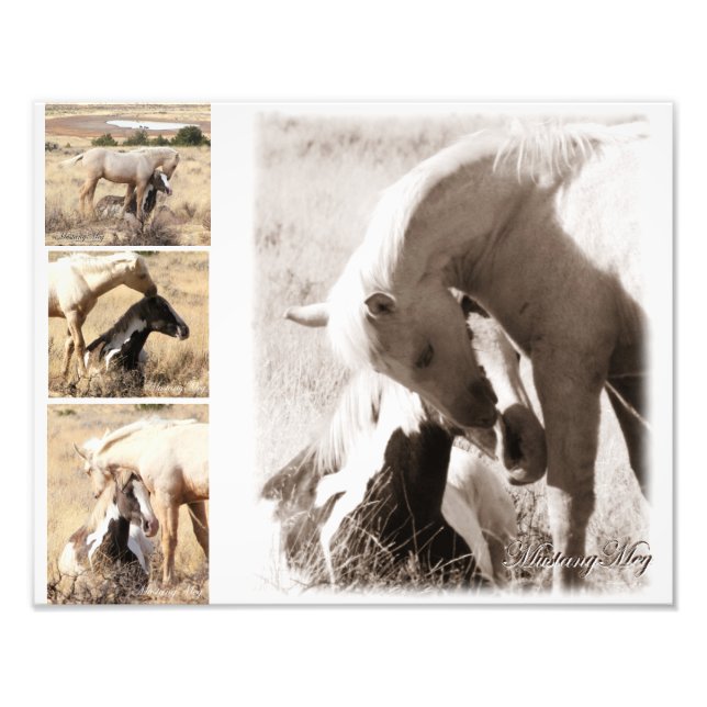 Foto Colas serán Colts - Collage de Mustang (Frente)