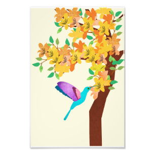 Foto Colibrí
