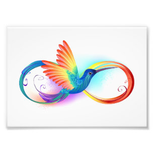 Foto Colibrí arcoiris con símbolo Infinity